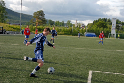 VVIL-Midsund2008013_edited